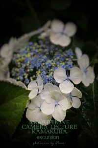PHOTONANAお散歩フォト